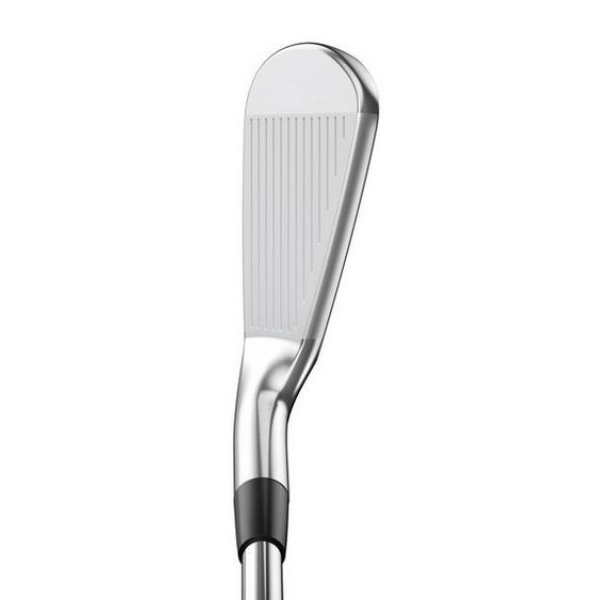 Mizuno Pro 225 Iron Set 4-PW DG 120 S300