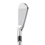 Mizuno Pro 225 Iron Set 4-PW DG 120 S300
